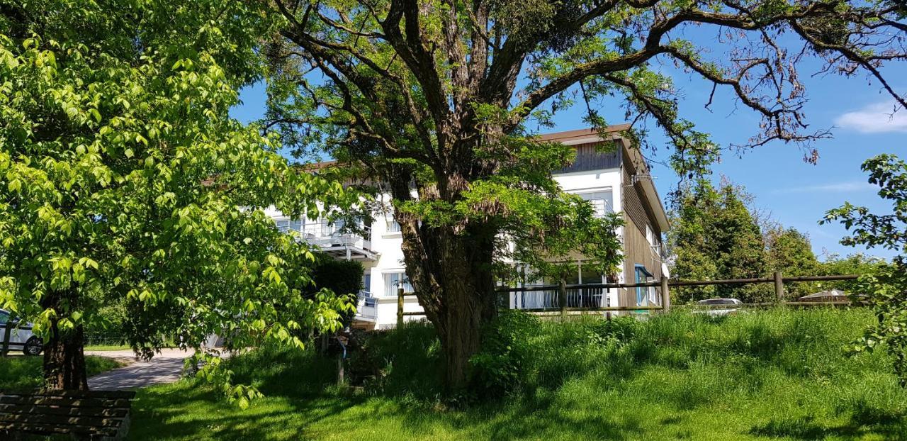 Le Panoramic Appartement Bains-les-Bains Buitenkant foto