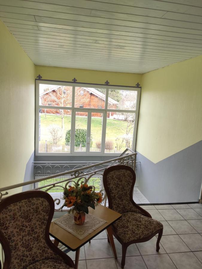 Le Panoramic Appartement Bains-les-Bains Buitenkant foto